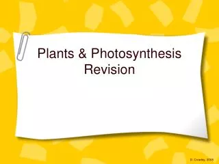 Plants &amp; Photosynthesis Revision
