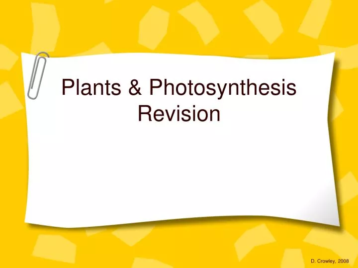 plants photosynthesis revision