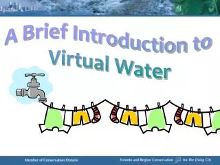 A Brief Introduction to Virtual Water