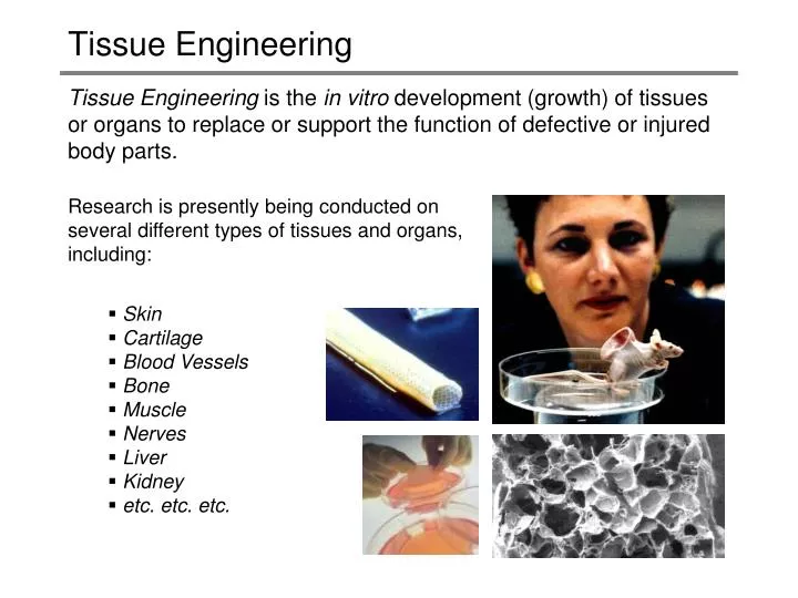 tissue engineering