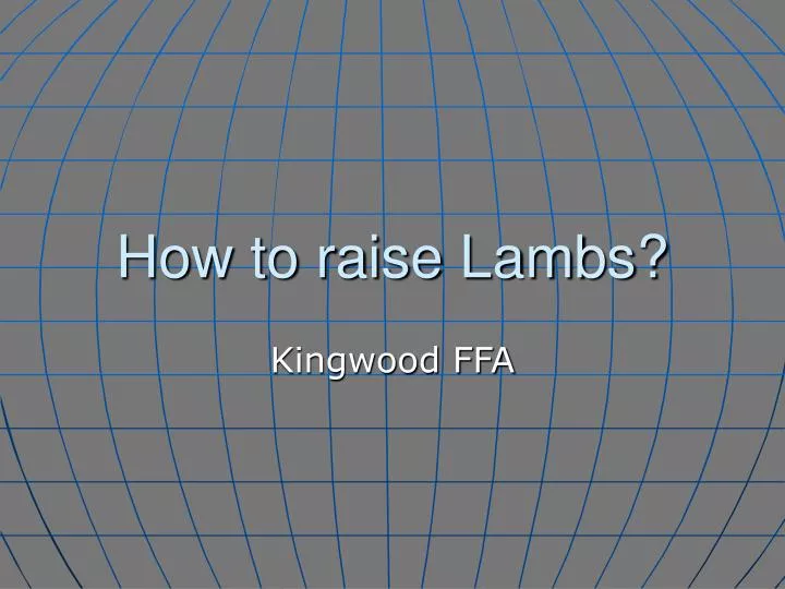 how to raise lambs