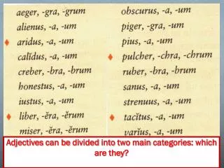 Adjectives can be divided into two main categories : which are they ?