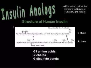 Insulin Analogs
