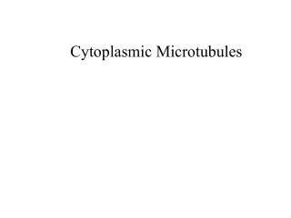 Cytoplasmic Microtubules