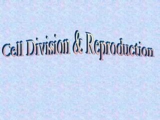 Cell Division &amp; Reproduction