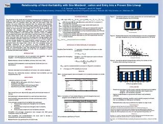 REGRESSION MODEL