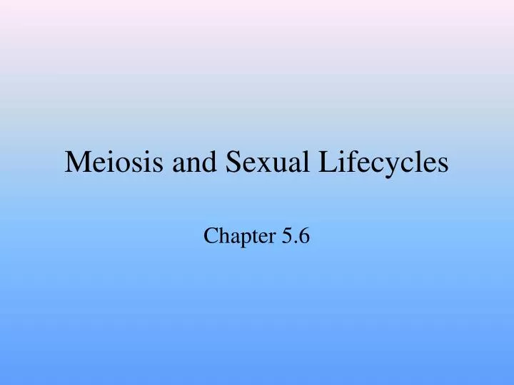 meiosis and sexual lifecycles