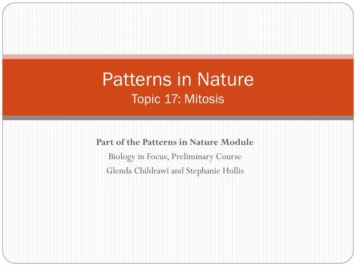patterns in nature topic 17 mitosis
