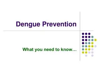 Dengue Prevention