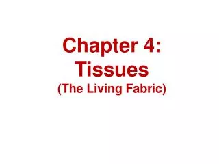 Chapter 4: Tissues (The Living Fabric)