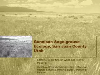Gunnison Sage-grouse Ecology, San Juan County Utah