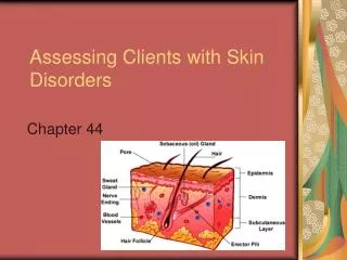 Assessing Clients with Skin Disorders