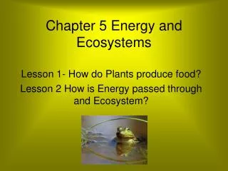 chapter 5 energy and ecosystems