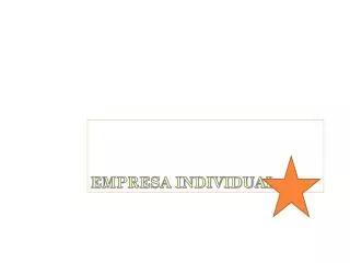 empresa individual