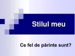Stilul meu - slide 1