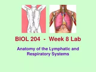 BIOL 204 - Week 8 Lab
