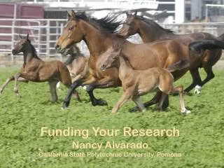 Funding Your Research Nancy Alvarado California State Polytechnic University, Pomona