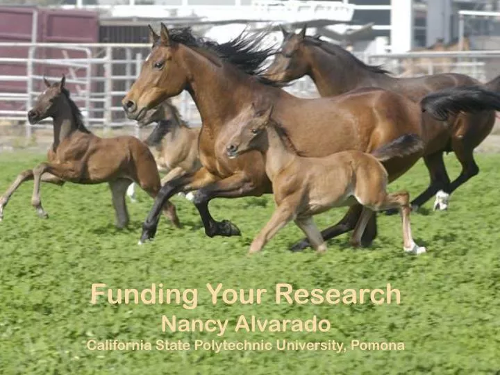 funding your research nancy alvarado california state polytechnic university pomona