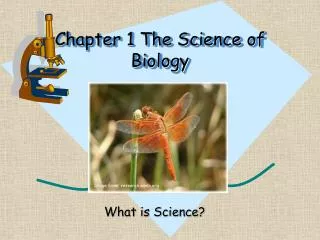 Chapter 1 The Science of Biology