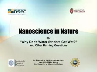 Nanoscience in Nature
