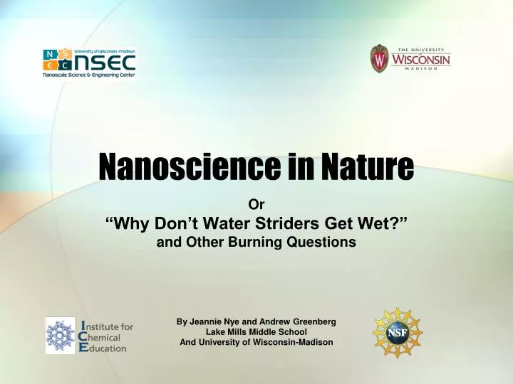 nanoscience in nature