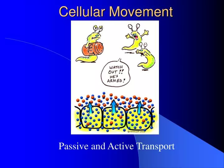 cellular movement