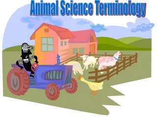 Animal Science Terminology