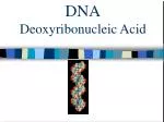 DNA Deoxyribonucleic Acid - slide 1