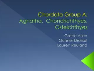 Chordata Group A: Agnatha , Chondrichthyes , Osteichthyes