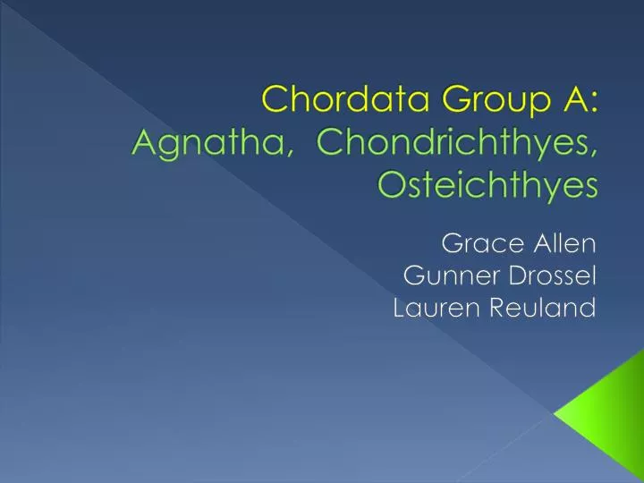 chordata group a agnatha chondrichthyes osteichthyes