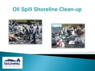 Oil Spill Shoreline Clean-up