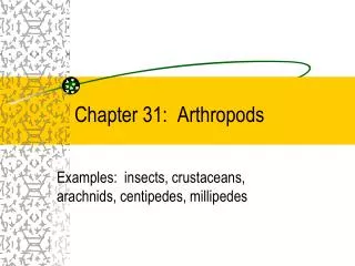 Chapter 31: Arthropods