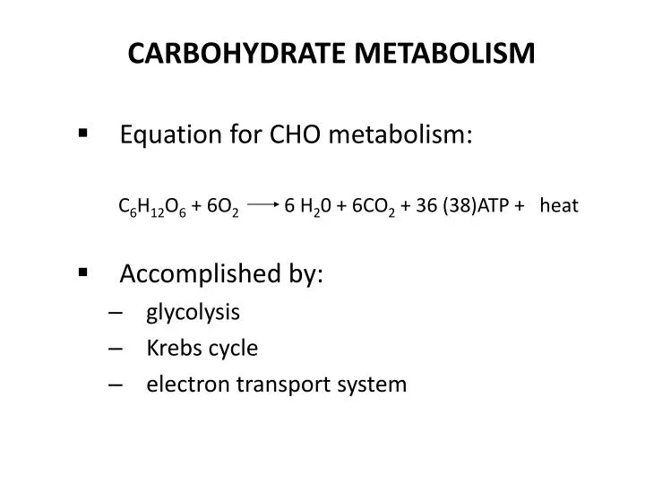 carbohydrate metabolism