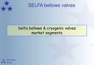 Selfa bellows &amp; cryogenic valves market segments