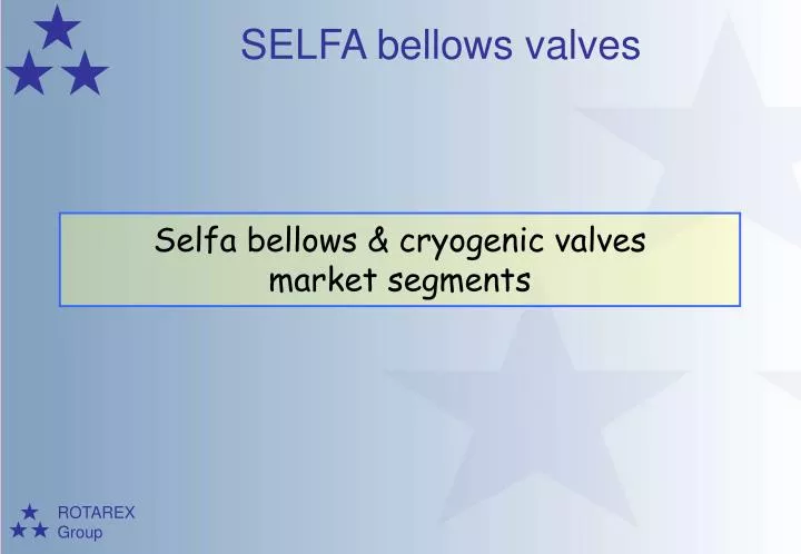selfa bellows cryogenic valves market segments