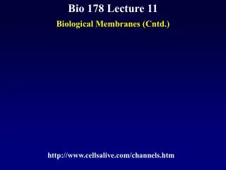 Bio 178 Lecture 11