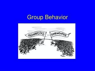 Group Behavior