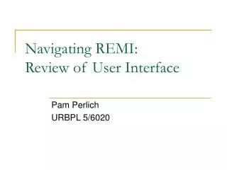 Navigating REMI: Review of User Interface