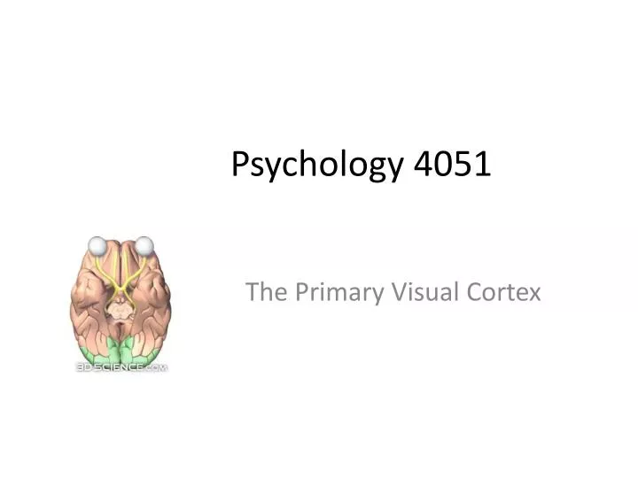 psychology 4051