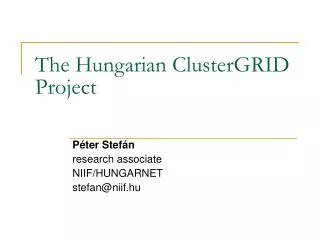 The Hungarian ClusterGRID Project