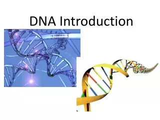 DNA Introduction