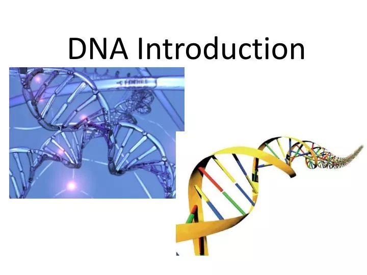 dna introduction