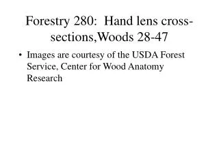 Forestry 280: Hand lens cross-sections,Woods 28-47