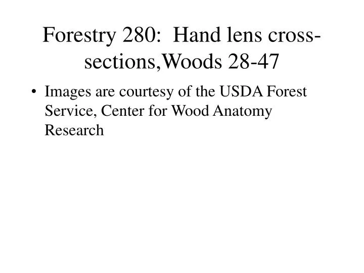 forestry 280 hand lens cross sections woods 28 47