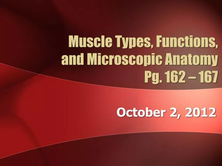 muscle types functions and microscopic anatomy pg 162 167