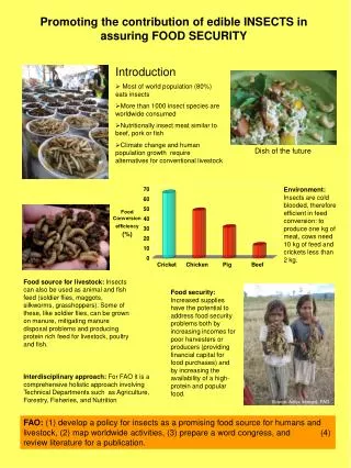 Promoting the contribution of edible INSECTS in assuring FOOD SECURITY