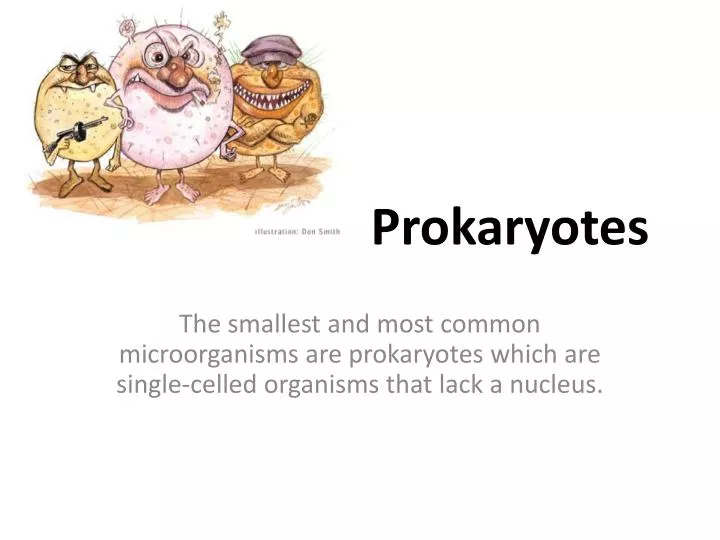 prokaryotes