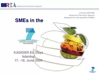 Corinna AMTING Research Executive Agency Research for the benefit of SMEs