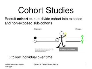 Cohort Studies