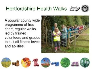 Hertfordshire Health Walks